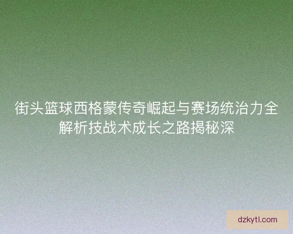 街头篮球西格蒙传奇崛起与赛场统治力全解析技战术成长之路揭秘深